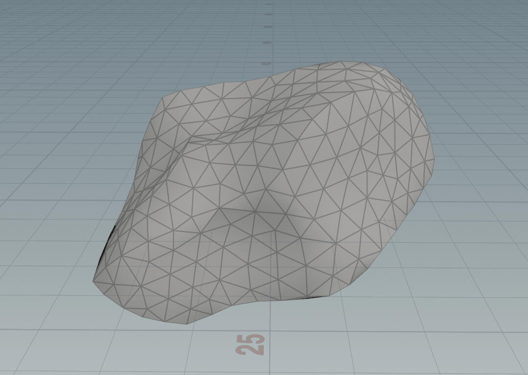 Low-poly remeshed rock.